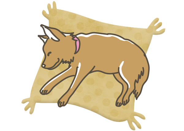 ご遺体を整える